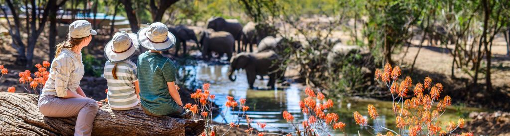 anniversaire safari