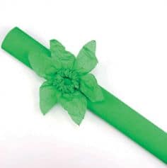 Rouleau papier crépon 10m – Vert