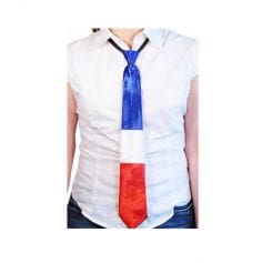 cravate adulte polyester tricolore france | jourdefete.com