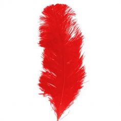 plume autruche rouge | jourdefete.com