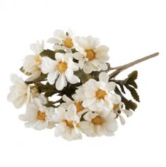 Un bouquet de 5 tiges de bidens blancs pour votre événement | jourdefete.com