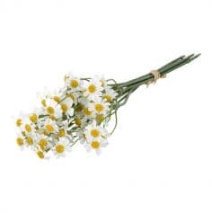 Un bouquet de marguerites blanches pour votre événement | jourdefete.com