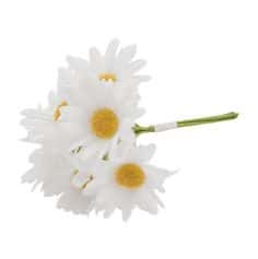 Un bouquet de 6 marguerites à pétales blanches pour votre événement | jourdefete.com