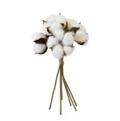 Bouquet de fleurs de coton - 6 tiges - Couleur Blanc | jourdefete.com