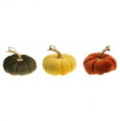 De belles citrouilles colorées à poser pour Halloween ou l'automne | jourdefete.com