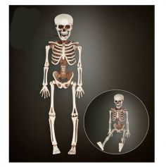 squelette en plastique de 40 cm | jourdefete.com