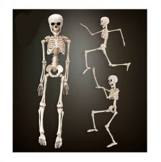 squelette en plastique de 50 cm | jourdefete.com