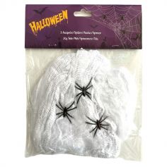 Créez un endroit d'accueil pour les araignées en accrochant cette toile de 20 g le soir d'Halloween | jourdefete.com