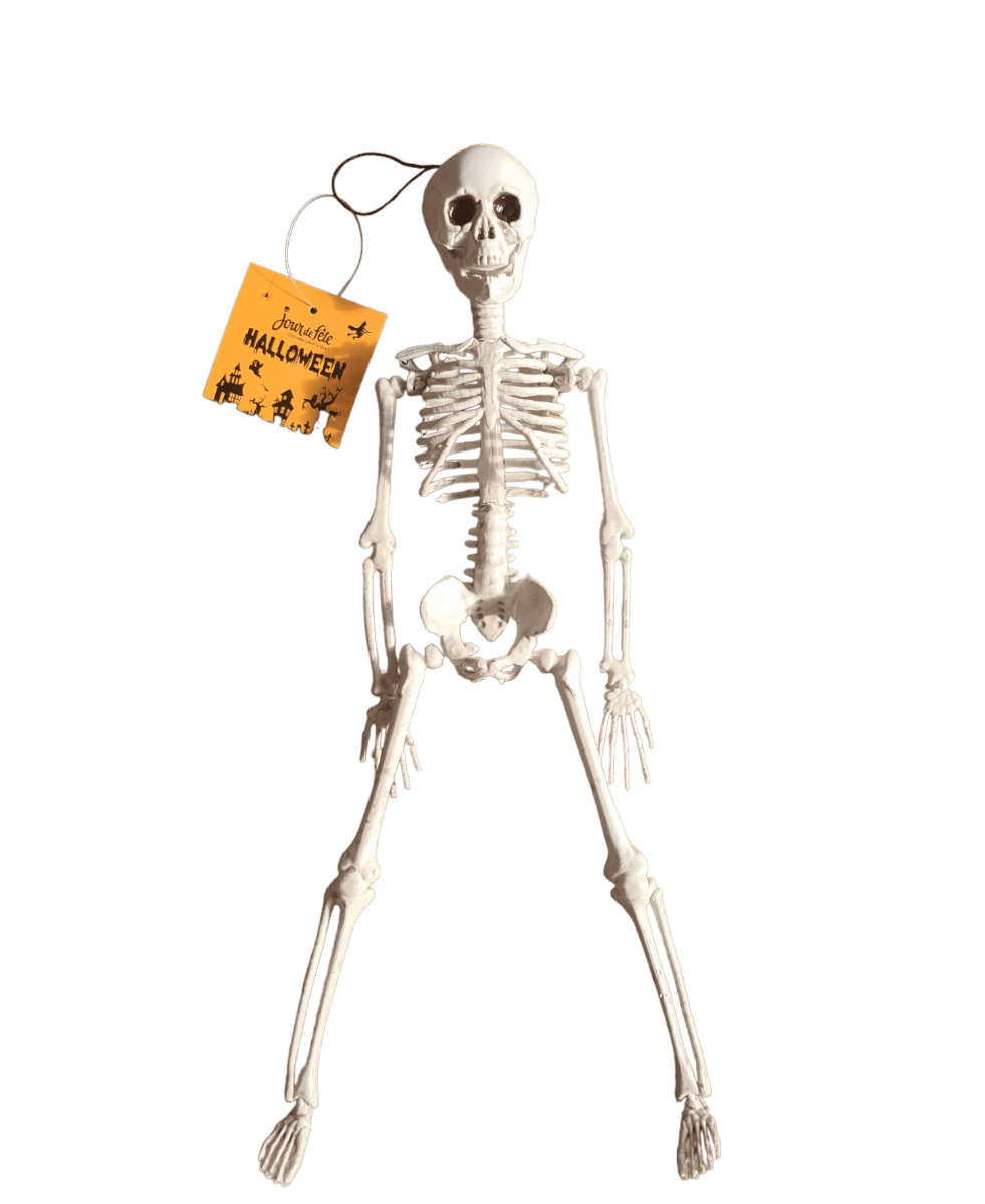  Mon livre des squelettes avec 60 autocollants