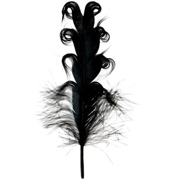 Sachet de 6 Plumes Tortillons - Noir