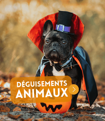 Déguisement Halloween